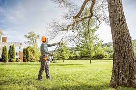 Best Grass Overseeding  in Roosevelt, NJ