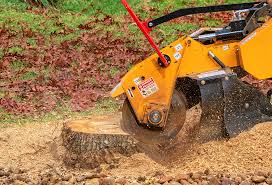 Best Tree Trimming and Pruning  in Roosevelt, NJ